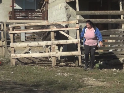 Ljiljana Marković zadužena da hrani nojeve