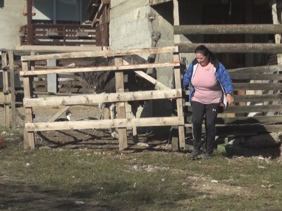 Ljiljana Marković zadužena da hrani nojeve