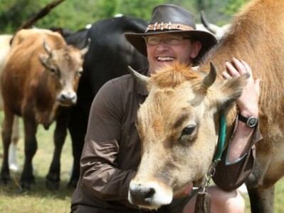 Život na farmi Dejanović