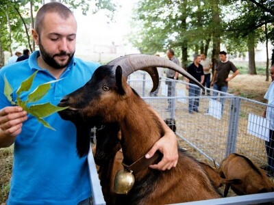 Ljubav mladih prema kozama