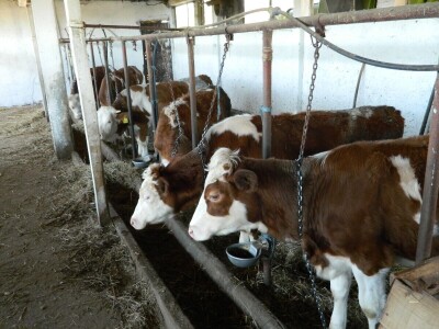 Ljubav prema poljoprivredi od malih nogu