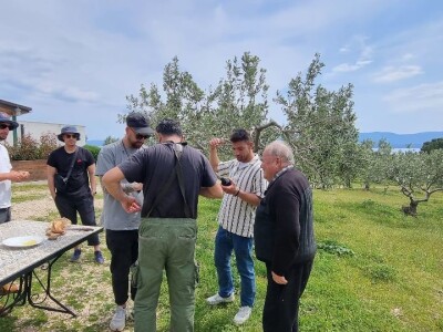 LJUBAV ŽIVI VJEČNO: Potraga za nagrađenim uljem koje je Slavonac u Bolu posvetio pokojnoj ženi