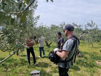 LJUBAV ŽIVI VJEČNO: Potraga za nagrađenim uljem koje je Slavonac u Bolu posvetio pokojnoj ženi