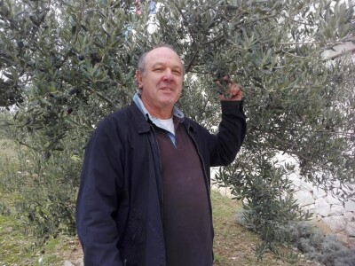 Zaštita izvornosti Dalmatinskog maslinovog ulja Zaštita izvornosti Dalmatinskog maslinovog ulja