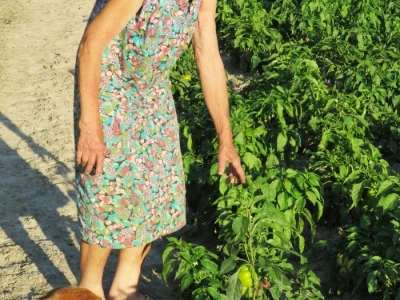 Ljubica Baborac