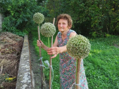 Ljubica Baborac