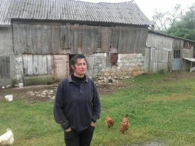 Ljubica Zarić
