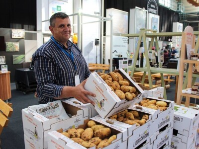 Ljubuški rani krompir