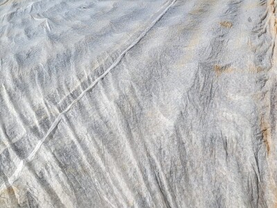 Ljubuški rani krompir