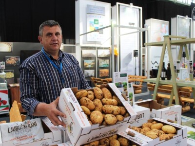 Ljubuški rani krompir