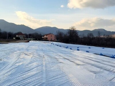 LJUBUŠKI RANI STIŽE NA UROD