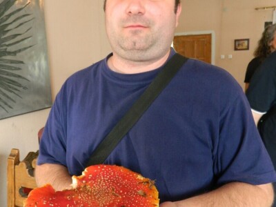 Ljude treba edukovati da bi se smanjio broj trovanja