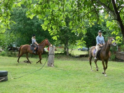 Ljude treba edukovati da bi se smanjio broj trovanja