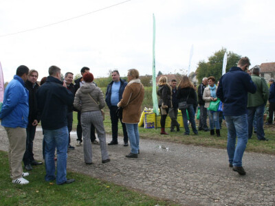 Timac ago - Dan polja kupusa