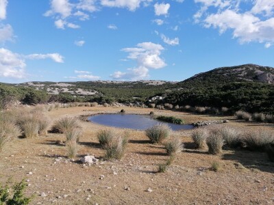 Lokve u kršu Lokve u kršu