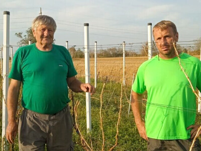 Stoprocentna šteta od grada u Gložanu