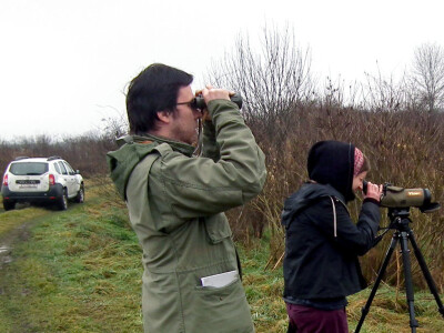 Zimsko prebrojavanje ptica