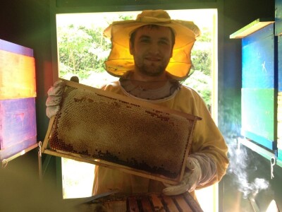 Loš pravilnik o medu i nelojalna konkurencija jeftinog meda iz Kine i Ukrajine