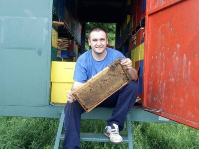 Loš pravilnik o medu i nelojalna konkurencija jeftinog meda iz Kine i Ukrajine