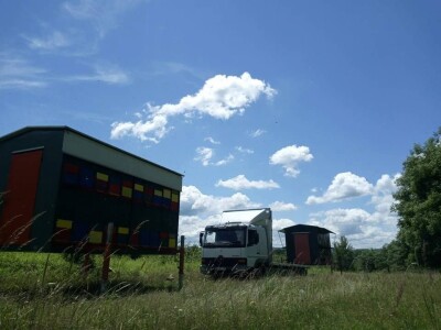 Loš pravilnik o medu i nelojalna konkurencija jeftinog meda iz Kine i Ukrajine