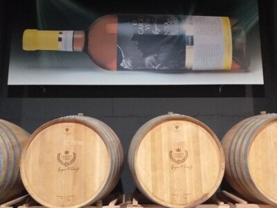 Loša godina za hercegovačke vinogradare