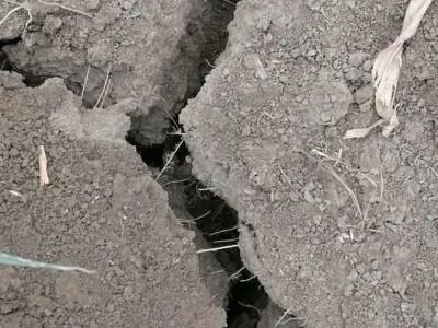 Loše stanje usjeva u TK - suša i divlje svinje