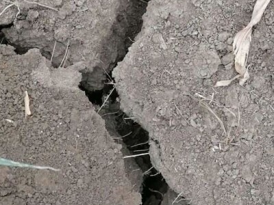 Loše stanje usjeva u TK - suša i divlje svinje