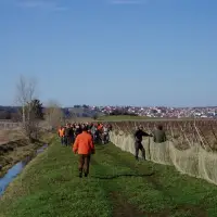 Lov zečeva u Siveriću