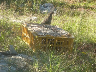 Lovačkim udrugama se vraća 754.500 kuna