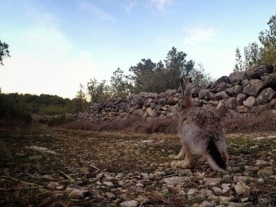 Lovačkim udrugama se vraća 754.500 kuna