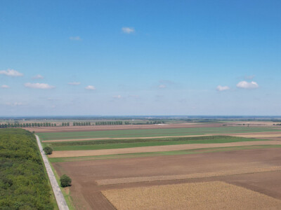 Dan polja BC hibrida kukuruza u Lovasu Dan polja BC hibrida kukuruza u Lovasu