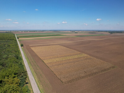Dan polja BC hibrida kukuruza u Lovasu Dan polja BC hibrida kukuruza u Lovasu