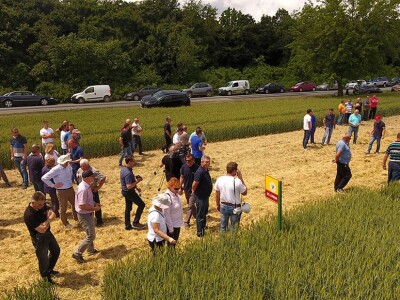 Dan polja srtnih žitarica Bc Instituta u Lovasu