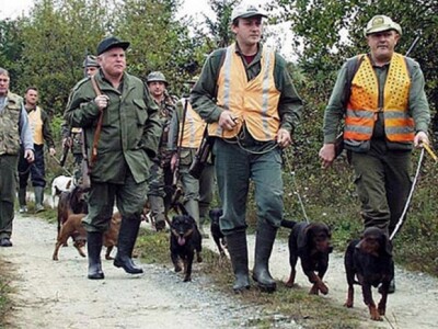 Lovci - hajka na divlje svinje