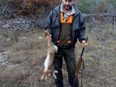 Smećem zasuli stare maslinike i voćnjake