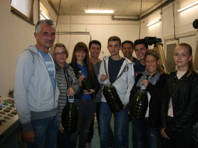 NIKAD SLABIJA MASLINARSKA SEZONA - Hrvatski iseljenici, ali i domaći maslinari kupuju maslinovo ulje izravno u uljarama! NIKAD SLABIJA MASLINARSKA SEZONA - Hrvatski iseljenici, ali i domaći maslinari kupuju maslinovo ulje izravno u uljarama!