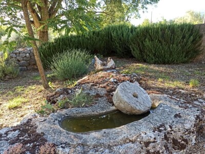 OPG Lucijan Trogrlić