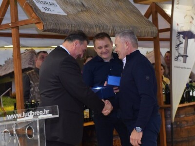 LUDBREG 2019 - 27.  Međunarodna izložba mladih vina LUDBREG 2019 - 27.  Međunarodna izložba mladih vina