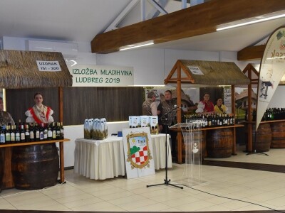 LUDBREG 2019 - 27.  Međunarodna izložba mladih vina LUDBREG 2019 - 27.  Međunarodna izložba mladih vina