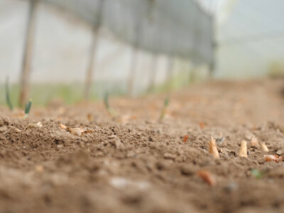 On je junak, a ona šefica! Eldin i Armina Muhović prepoznali blagodati sela