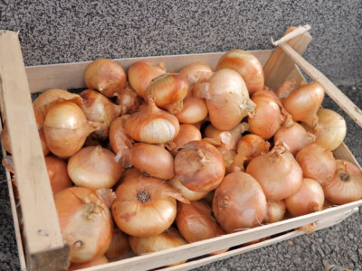 On je junak, a ona šefica! Eldin i Armina Muhović prepoznali blagodati sela