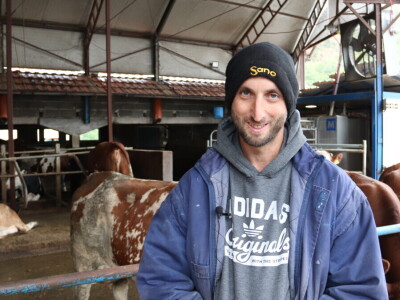 M²erlin muze krave kod Radića: "Zamijenio je četiri radnika"