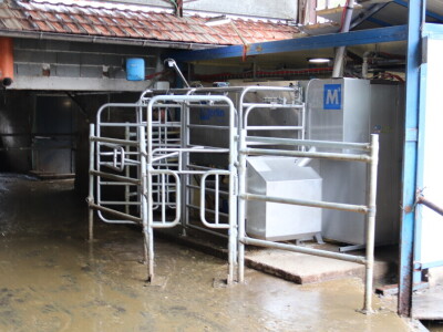 M²erlin muze krave kod Radića: "Zamijenio je četiri radnika"