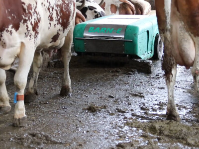 M²erlin muze krave kod Radića: "Zamijenio je četiri radnika"