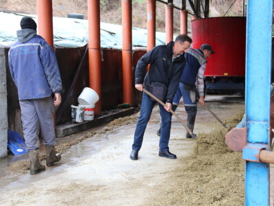 M²erlin muze krave kod Radića: "Zamijenio je četiri radnika"