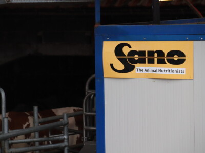 M²erlin muze krave kod Radića: "Zamijenio je četiri radnika"