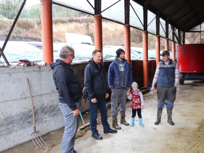 M²erlin muze krave kod Radića: "Zamijenio je četiri radnika"