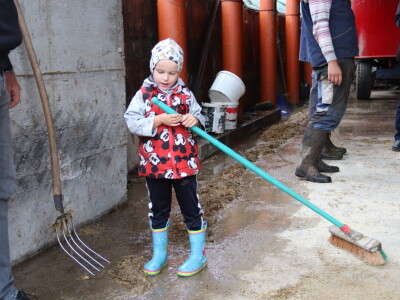 M²erlin muze krave kod Radića: "Zamijenio je četiri radnika"