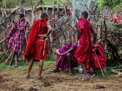 Maasai pleme