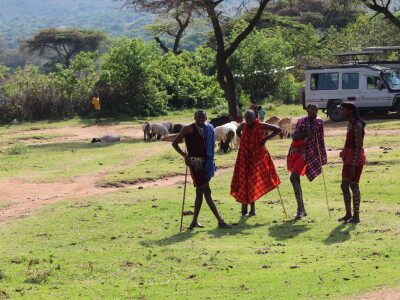 Maasai pleme